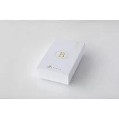 Final Audio - B1 - Balanced Armature & Dynamic Driver In-Ear Headphones -Electronics Store b 1 b1 c1