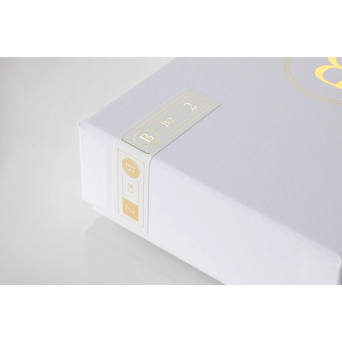 Final Audio - B2 - Balanced Armature In-Ear Headphones 13 Final Audio - B2 - Balanced Armature In-Ear Headphones - Image 11