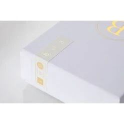 Final Audio - B3 - Double Balanced Armature In-Ear Headphones -Electronics Store b 3 b3 10 package